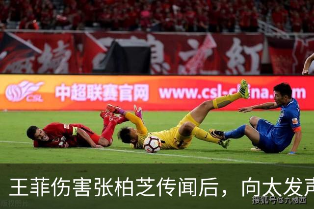 王菲伤害张柏芝传闻后，向太发声，她早爆料王菲和李小冉是一类人